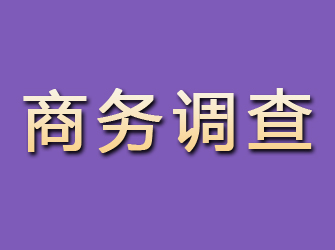 惠安商务调查